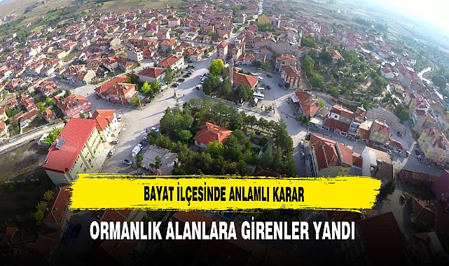 Bayat İlçesinde Anlamlı Karar Ormanlık Alanlara Girenler Yandı