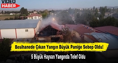 Besihanede Çıkan Yangın Büyük Paniğe Sebep Oldu!