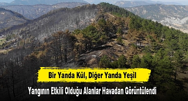 Bir Yanda Yeşil, Diğer Yanda Kül
