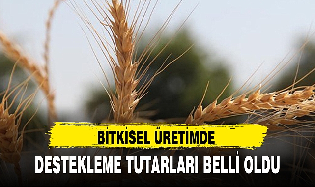 BİTKİSEL ÜRETİMDE DESTEKLEME TUTARLARI BELLİ OLDU