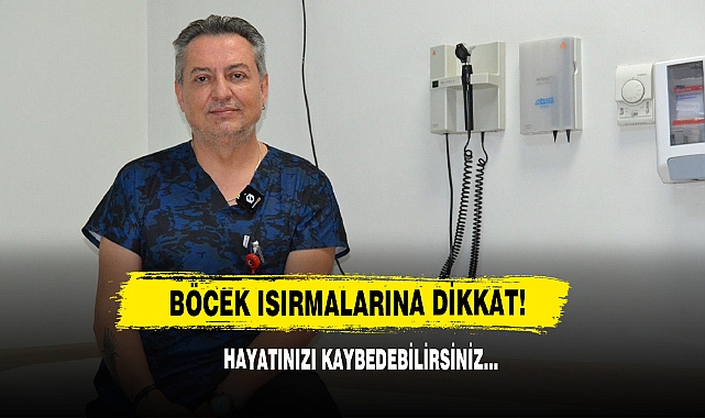 Böcek Isırmalarına Dikkat! Hayatınızı Kaybedebilirsiniz…