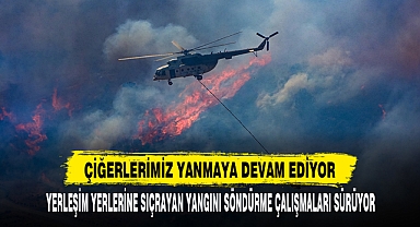 CİĞERLERİMİZ YANMAYA DEVAM EDİYOR