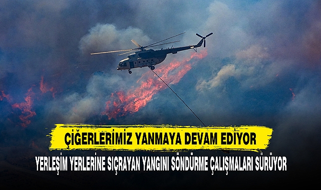 CİĞERLERİMİZ YANMAYA DEVAM EDİYOR