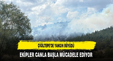 Çiğiltepe’de Yangın Büyüdü Ekipler Canla Başla Mücadele Ediyor