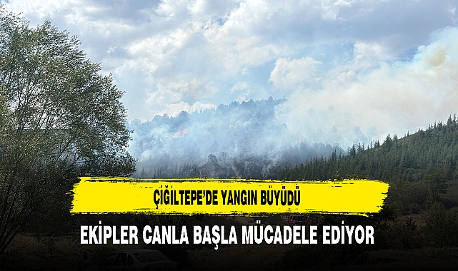 Çiğiltepe’de Yangın Büyüdü Ekipler Canla Başla Mücadele Ediyor