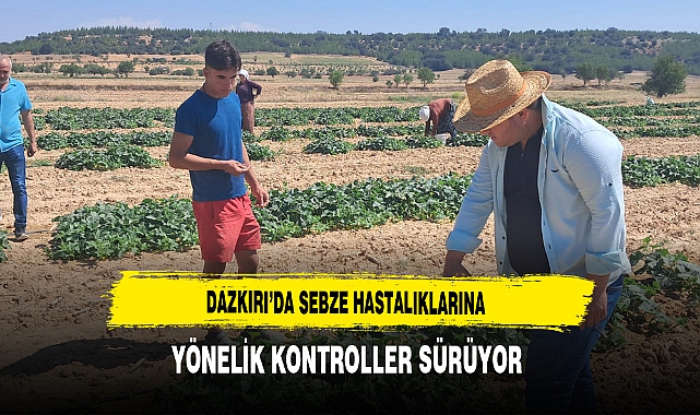 Dazkırı’da Sebze Hastalıklarına Yönelik Kontroller Sürüyor