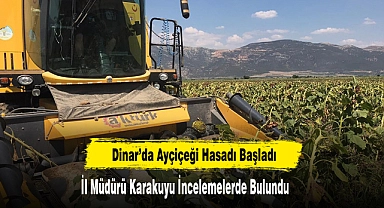 Dinar’da Ayçiçeği Hasadı Başladı