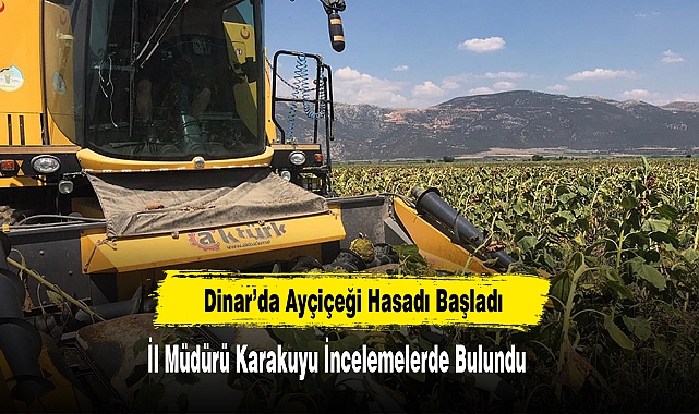 Dinar’da Ayçiçeği Hasadı Başladı