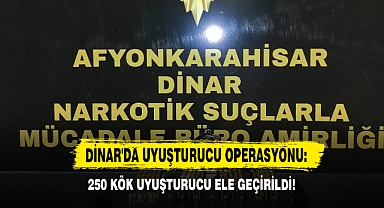 Dinar'da Uyuşturucu Operasyonu: 250 Kök Uyuşturucu Ele Geçirildi!