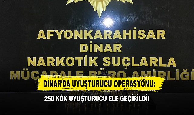Dinar'da Uyuşturucu Operasyonu: 250 Kök Uyuşturucu Ele Geçirildi!