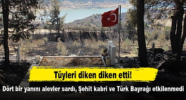 Dört bir yanını alevler sardı, Şehit kabri ve Türk Bayrağı etkilenmedi!