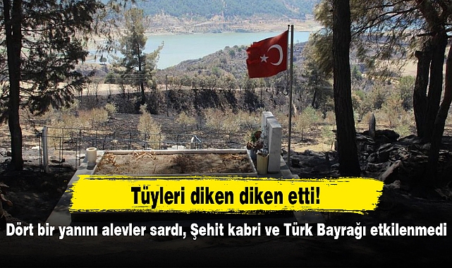 Dört bir yanını alevler sardı, Şehit kabri ve Türk Bayrağı etkilenmedi!