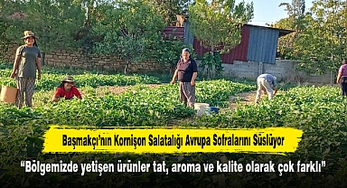 Başmakçı’nın Kornişon Salatalığı Avrupa Sofralarını Süslüyor