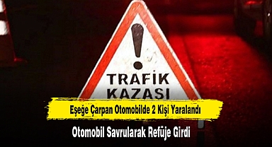 Eşeğe Çarpan Otomobilde 2 Kişi Yaralandı
