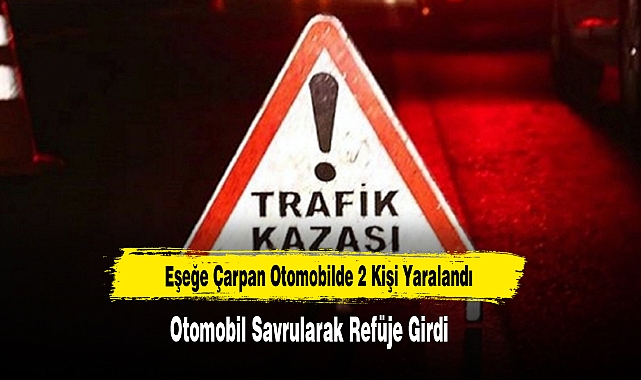Eşeğe Çarpan Otomobilde 2 Kişi Yaralandı