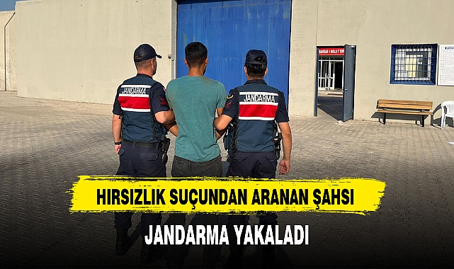 HIRSIZLIK SUÇUNDAN ARANAN ŞAHSI JANDARMA YAKALADI