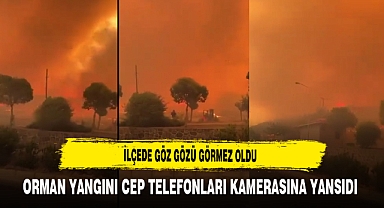 İlçede Göz Gözü Görmez Oldu Orman Yangını Cep Telefonları Kamerasına Yansıdı