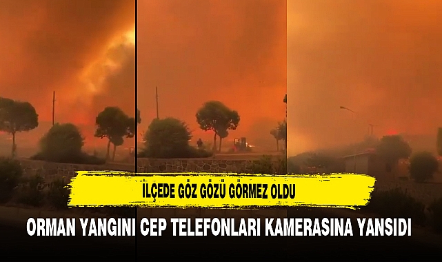İlçede Göz Gözü Görmez Oldu Orman Yangını Cep Telefonları Kamerasına Yansıdı