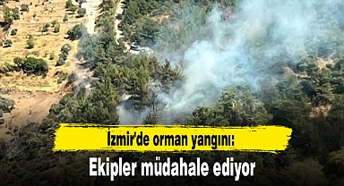 İzmir'de orman yangını: Ekipler müdahale ediyor
