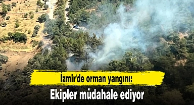 İzmir'de orman yangını: Ekipler müdahale ediyor