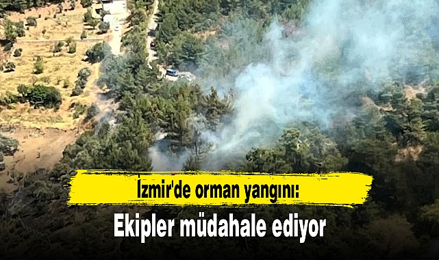 İzmir'de orman yangını: Ekipler müdahale ediyor