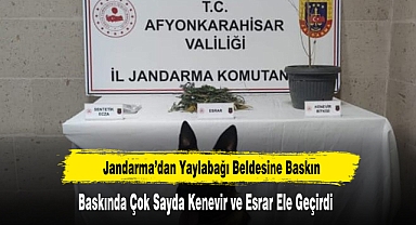 Jandarma’dan Yaylabağı Beldesine Baskın