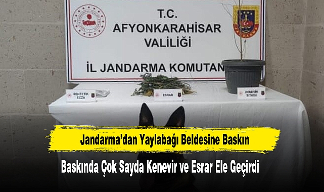 Jandarma’dan Yaylabağı Beldesine Baskın