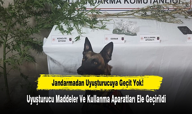 Jandarmadan Uyuşturucuya Geçit Yok!