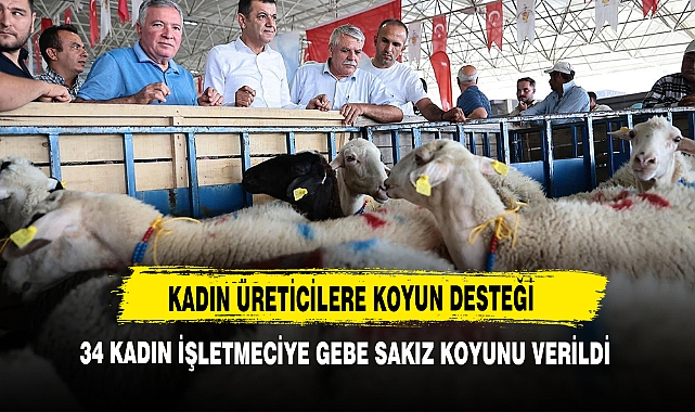 Kadın Üreticilere Koyun Desteği