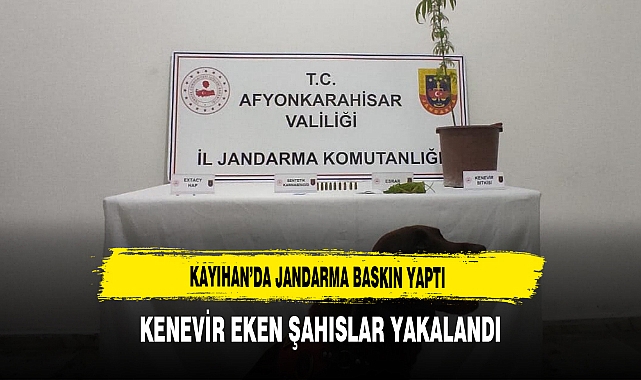 Kayıhan’da Jandarma Baskın Yaptı Kenevir Eken Şahıslar Yakalandı.