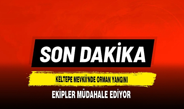 Keltepe Mevkii'nde Orman Yangını Ekipler Müdahale Ediyor
