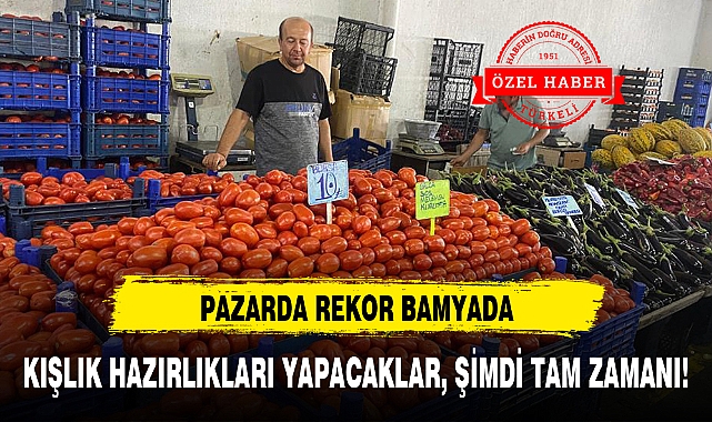 KIŞLIK HAZIRLIKLARI YAPACAKLAR, ŞİMDİ TAM ZAMANI!