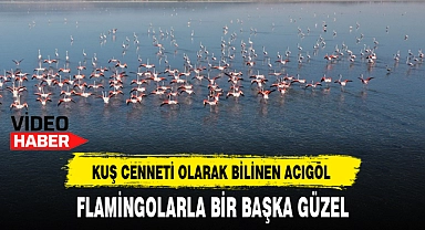 KUŞ CENNETİ OLARAK BİLİNEN ACIGÖL FLAMİNGOLARLA BİR BAŞKA GÜZEL