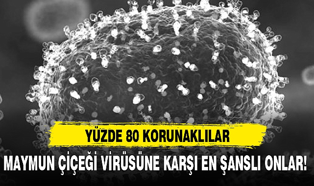 MAYMUN ÇİÇEĞİ VİRÜSÜNE KARŞI EN ŞANSLI ONLAR!