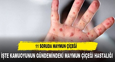 Maymun Çiçeğini sizin için araştırdık