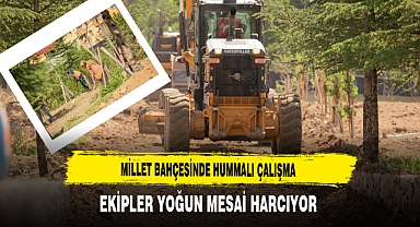 Millet Bahçesinde Hummalı Çalışma Ekipler Yoğun Mesai Harcıyor