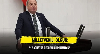 Milletvekili Olgun: