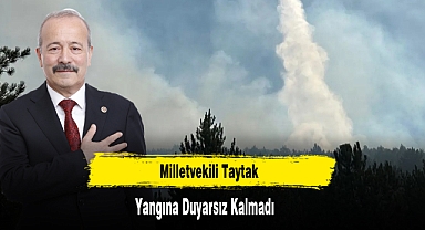 Milletvekili Taytak Yangına Duyarsız Kalmadı