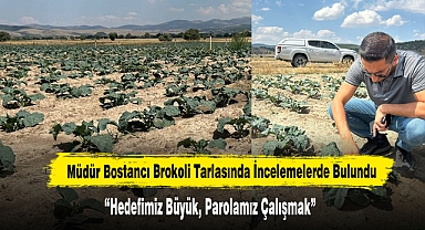 Müdür Bostancı Brokoli Tarlasında İncelemelerde Bulundu