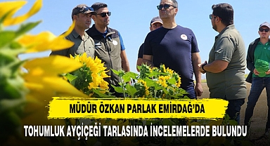 Müdür Parlak Tohumluk Ayçiçeği Tarlasında İncelemelerde Bulundu
