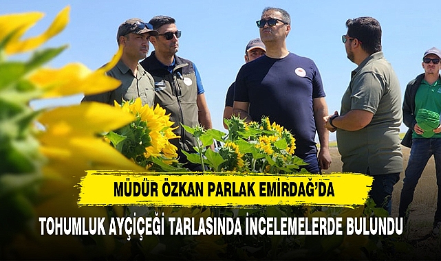 Müdür Parlak Tohumluk Ayçiçeği Tarlasında İncelemelerde Bulundu