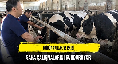 Müdür Parlak ve Ekibi Saha Çalışmalarını Sürdürüyor