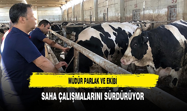 Müdür Parlak ve Ekibi Saha Çalışmalarını Sürdürüyor
