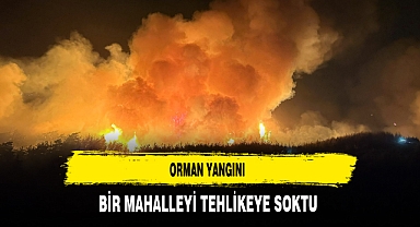 Orman Yangını Bir Mahalleyi Tehlikeye Soktu