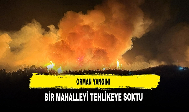 Orman Yangını Bir Mahalleyi Tehlikeye Soktu