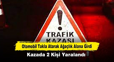 Otomobil Takla Atarak Ağaçlık Alana Girdi: Kazada 2 Kişi Yaralandı