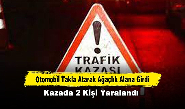 Otomobil Takla Atarak Ağaçlık Alana Girdi:  Kazada 2 Kişi Yaralandı