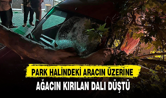 PARK HALİNDEKİ ARACIN ÜZERİNE AĞACIN KIRILAN DALI DÜŞTÜ