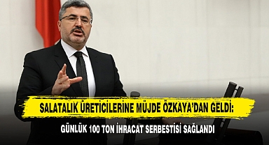Salatalık Üreticilerine Müjde Özkaya'dan Geldi: Günlük 100 Ton İhracat Serbestisi Sağlandı