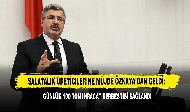 Salatalık Üreticilerine Müjde Özkaya'dan Geldi: Günlük 100 Ton İhracat Serbestisi Sağlandı
